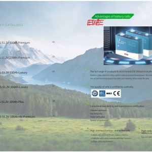 Cell pin Lithium Iron Phosphate EVE LiFePO4 Grade A chính hãng tích hợp trong pin BSB ESS Luxury